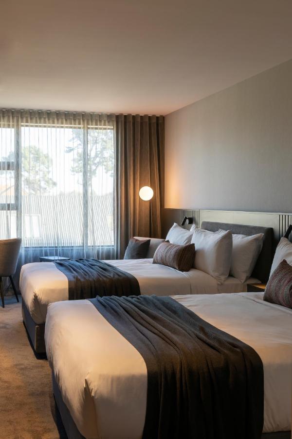 The Mayfair 基督城 外观 照片 A room at the hotel